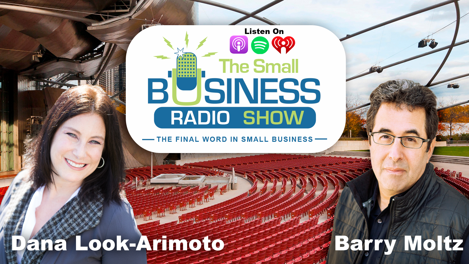 Dana Look-Arimoto on The Small Business Radio Show