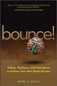 Bounce by Barry Moltz