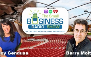 Joy Gendusa on The Small Business Radio Show - pivot during covid