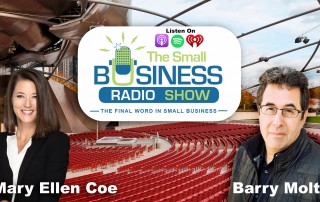 Mary Ellen Coe on The Small Business Radio Show - stand out online