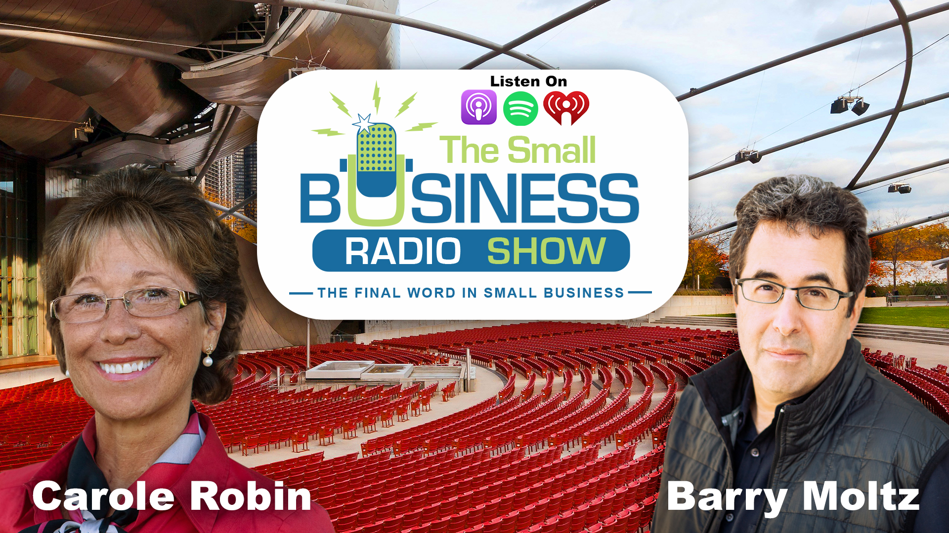 Carole Robin on The Small Business Radio Show