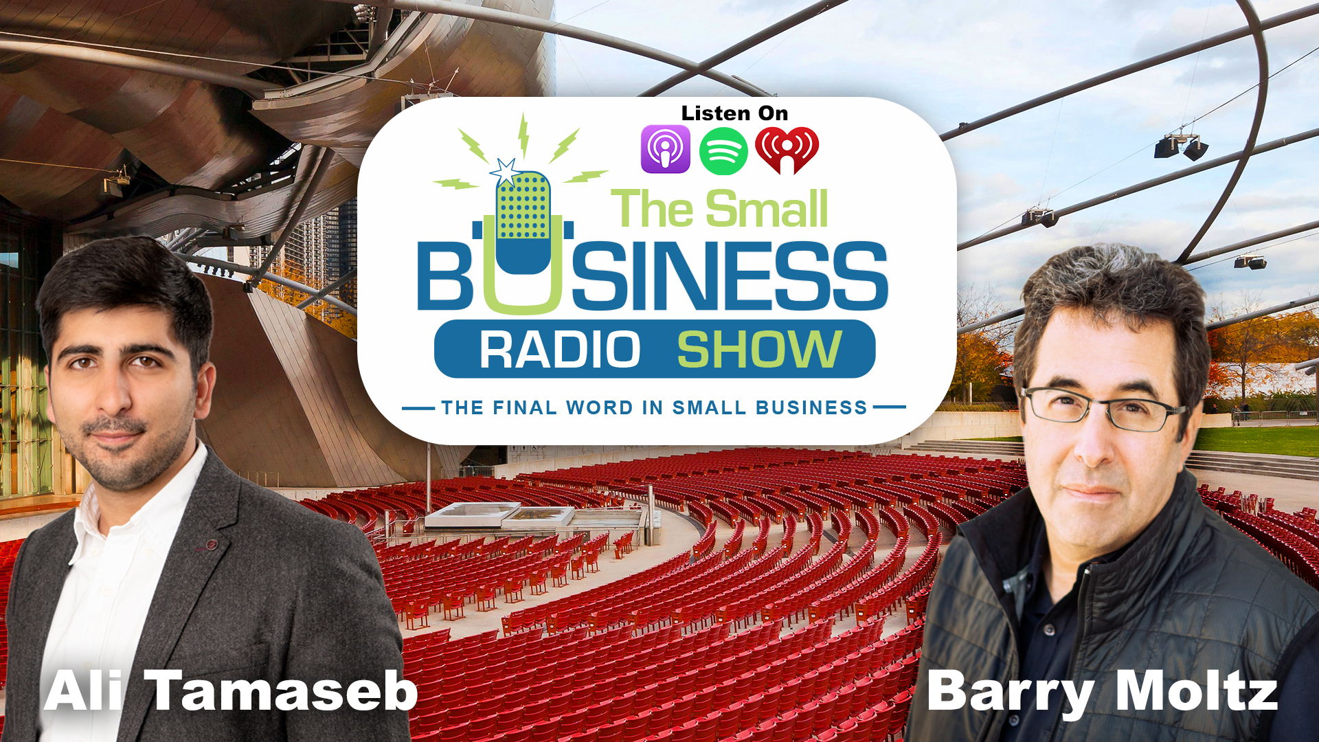 Ali Tamaseb on The Small Business Radio Show