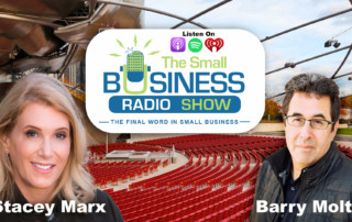 Stacey Marx on The Small Business Radio Show digital transformation