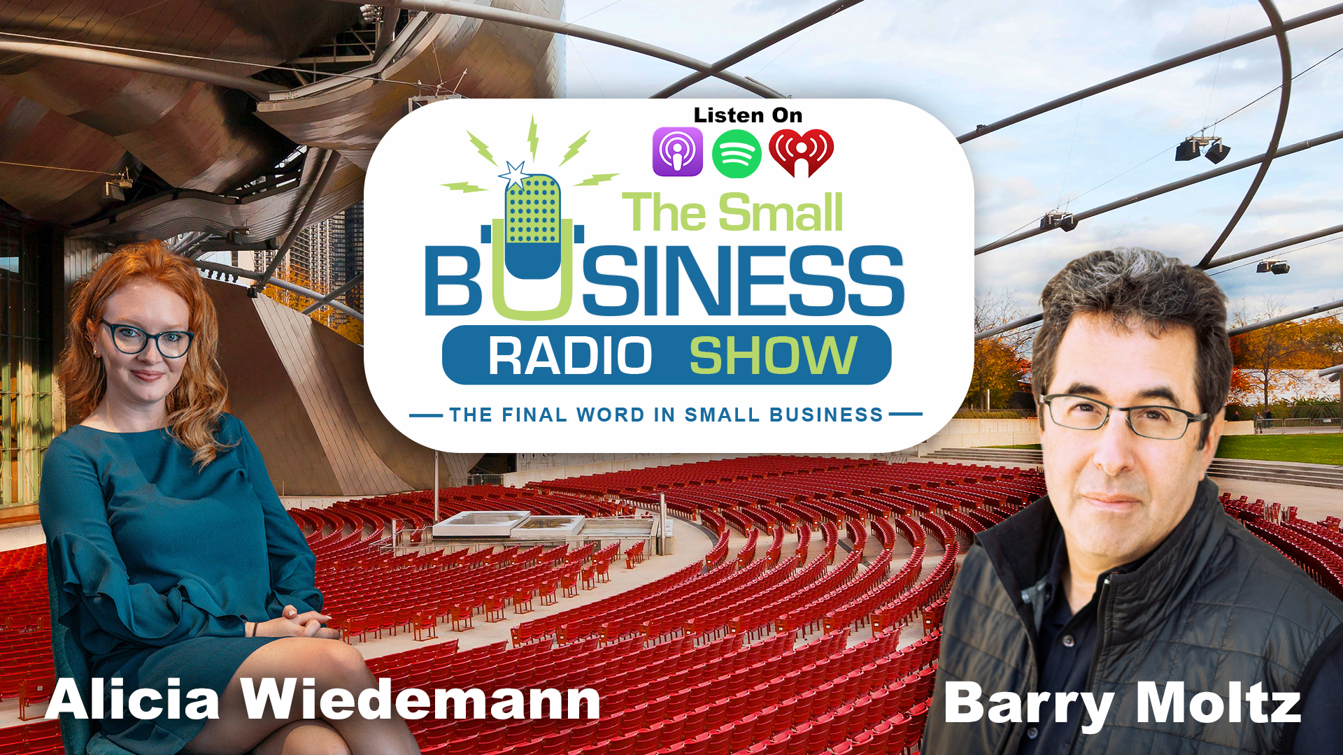 Alicia Wiedemann on The Small Business Radio Show