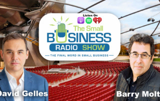 David Gelles on The Small Business Radio Show superstar CEOs